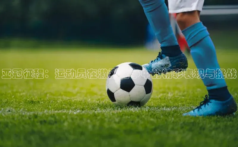 威廉williamhill官网在线登录