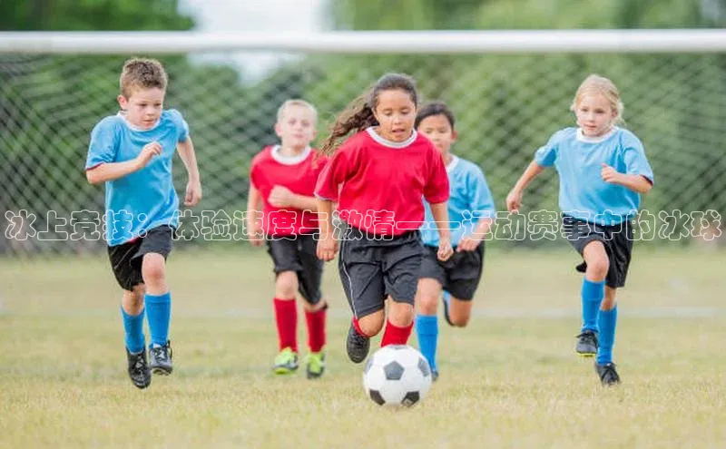 william威廉官网