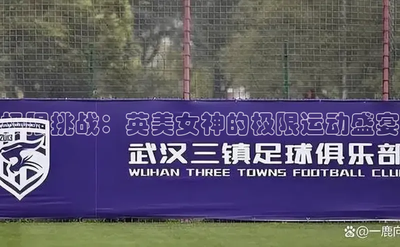 威廉希尔足球网